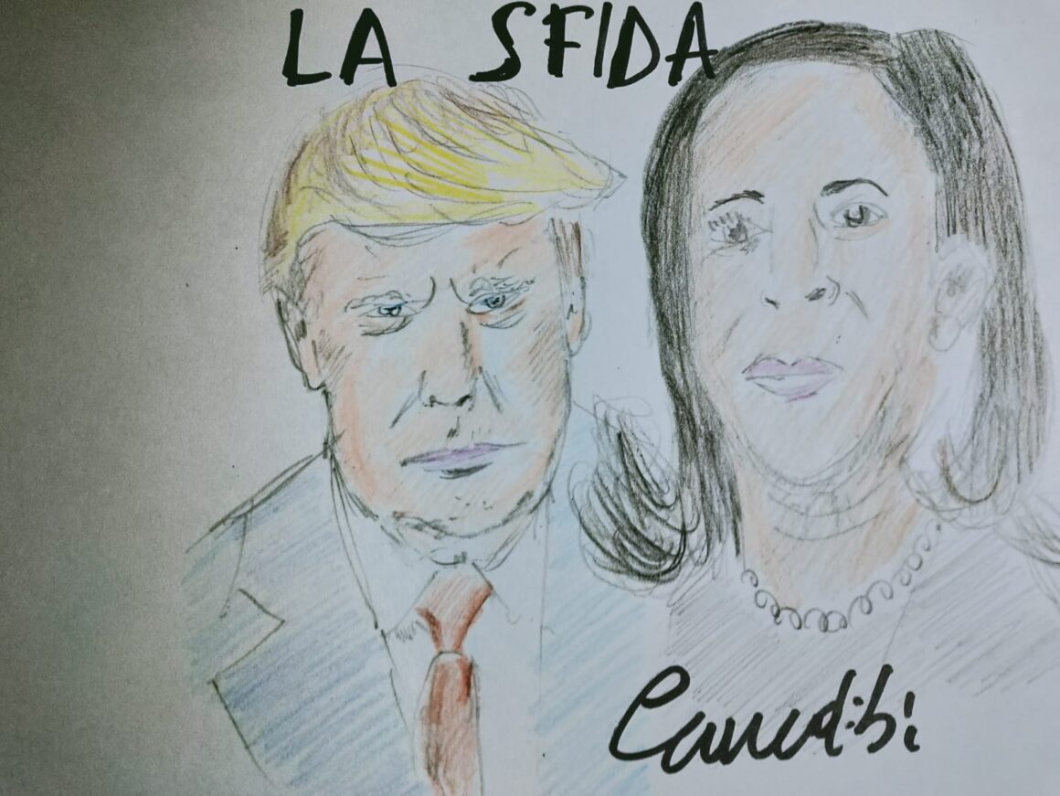La vignetta di Emmedibì